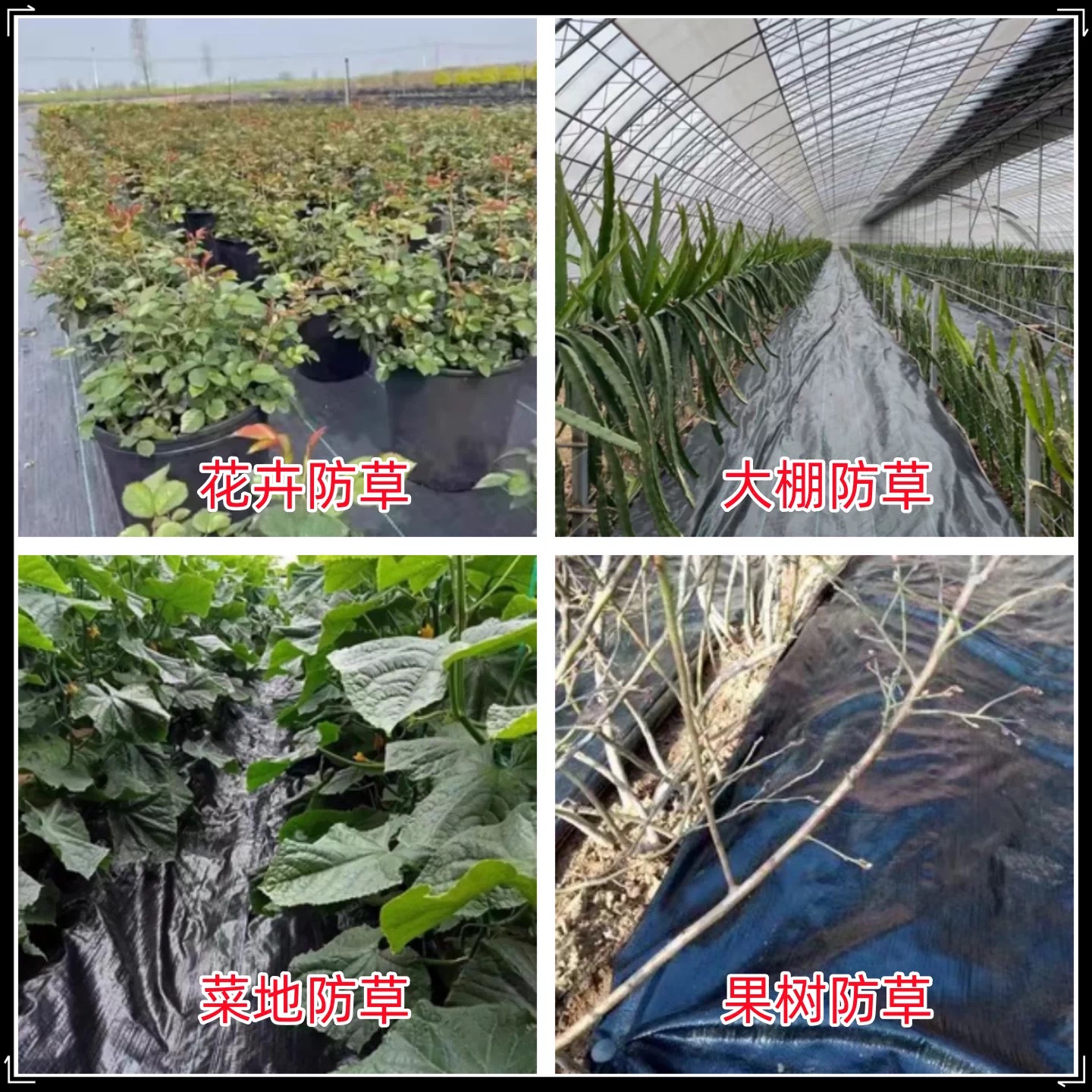 莱芜市农用薄膜防草布 - 方案