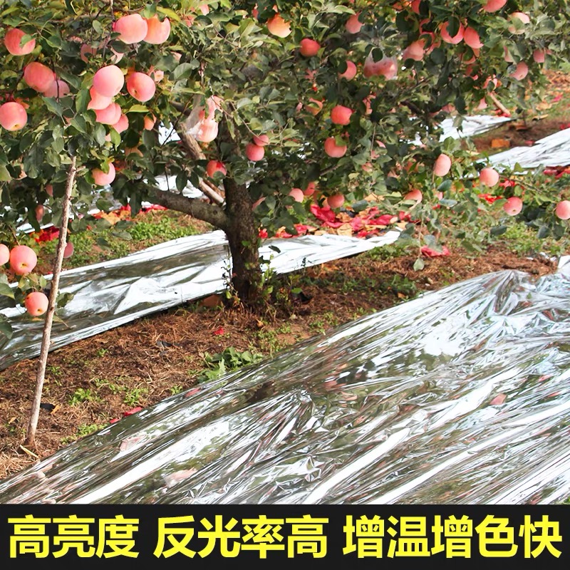 莱芜市po膜果树反光膜 - 排名